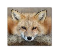 DEQORI Couvercle de cuisinière en verre Une pièce 60 x 52 cm Motif Reineke, le renard Plaque de protection pour plaque de cuisson universelle Plaque en verre et planche à découper pour