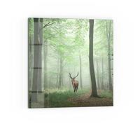DEQORI Crédence de cuisine en verre - Motif cerf entre arbres - 60 x 60 cm - Paroi arrière de salle de bain ou de cuisinière - Protection anti-éclaboussures pour cuisine et salle de bain - Décoration