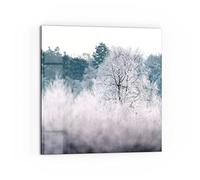 DEQORI Crédence de cuisine en verre - Motif « Eisiger Morgen im Wald» - 60 x 60 cm - Paroi arrière de salle de bain ou de cuisinière - Protection anti-éclaboussures pour cuisine et salle de bain -