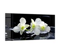 DEQORI Crédence de cuisine en verre - Motif orchidée avec pierres zen - 100 x 50 cm - Panneau arrière de salle de bain ou de cuisinière - Protection anti-éclaboussures pour cuisine et salle de bain -