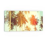 DEQORI Crédence de cuisine en verre - Motif palmiers avec filtre de couleur - 80 x 40 cm - Pour salle de bain ou cuisinière - Protection anti-éclaboussures pour cuisine et salle de bain - Décoration