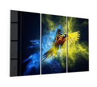 DEQORI Lot de 3 tableaux en verre acrylique - Motif « perroquet dans un nuage de couleurs » - horizontalement - 150 x 100 cm - Grande décoration murale XXL - Pour salon, chambre à coucher, couloir et