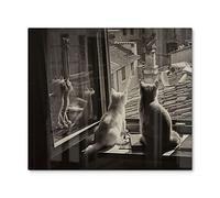 DEQORI Plaque de protection en verre Une pièce 60 x 52 cm Motif « chats sur rebord de fenêtre » Plaque de protection pour plaque de cuisson Couverture universelle Plaque en verre et