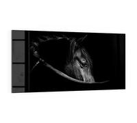 DEQORI Tableau en verre acrylique | Motif « Beau cheval dans le profil » - horizontalement monobloc 100 x 50 cm - Belle décoration murale pour salon, chambre à coucher, couloir et cuisine - Décoration