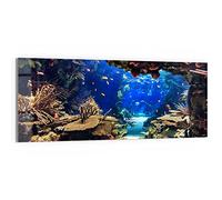 DEQORI Tableau en verre véritable | Motif « Aquarium exotique » | horizontale en une seule pièce 125 x 50 cm | Belle décoration | Décoration murale pour salon, chambre à coucher, couloir & cuisine |