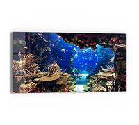 DEQORI Tableau en verre véritable | Motif « Aquarium exotique » | horizontale en une seule pièce 60 x 30 cm | Belle décoration | Décoration murale pour salon, chambre à coucher, couloir & cuisine |