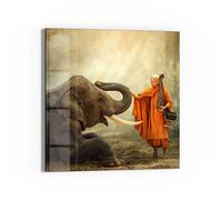 DEQORI Tableau en verre véritable - Motif « Bouddhiste touchant l'éléphant » - Carré en une pièce - 50 x 50 cm - Belle décoration murale pour salon, chambre à coucher, couloir et cuisine - Décoration