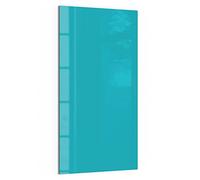 DEQORI Tableau magnétique en verre - 50 x 100 cm - Couleur unie - Turquoise - Tableau mémo en verre - Avec aimants, stylo et chiffon pour cuisine et bureau - Tableau magnétique et inscriptible