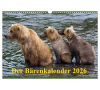 Der Bärenkalender 2026 CH-Version (Wandkalender 2026 DIN A3 quer), CALVENDO Monatskalender: Grizzlybären - ein Fotoshooting der besonderen Art