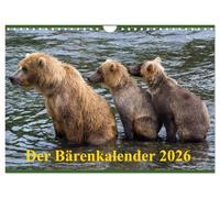 Der Bärenkalender 2026 CH-Version (Wandkalender 2026 DIN A4 quer), CALVENDO Monatskalender: Grizzlybären - ein Fotoshooting der besonderen Art