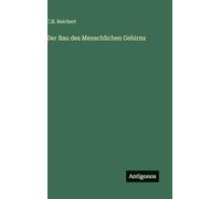 Der Bau des Menschlichen Gehirns