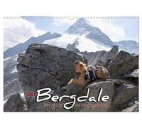 Der Bergdale - mit Hund im Hochgebirge (Wandkalender 2026 DIN A3 quer), CALVENDO Monatskalender: Ein Airedale Terrier als Bergbegleithund