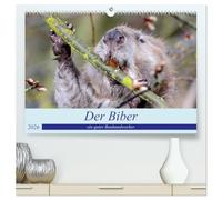 Der Biber, ein guter Bauhandwerker (hochwertiger Premium Wandkalender 2026 DIN A2 quer), Kunstdruck in Hochglanz: Ein schöne Begegnung mit einem, der nur nachts unterwegs ist.