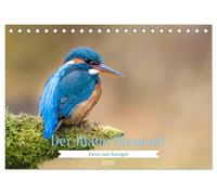 Der blaue Diamant - Fotos vom Eisvogel (Tischkalender 2026 DIN A5 quer), CALVENDO Monatskalender: Der Eisvogel - Ein kleiner Diamant in deutschen Gewässern