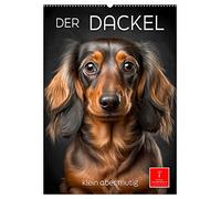 Der Dackel - klein aber mutig (Wandkalender 2026 DIN A2 hoch), CALVENDO Monatskalender: Der Dackel - ein Hund mit ausgeprägtem Charakter