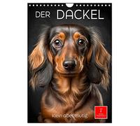 Der Dackel - klein aber mutig (Wandkalender 2026 DIN A4 hoch), CALVENDO Monatskalender: Der Dackel - ein Hund mit ausgeprägtem Charakter