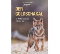 Der Goldschakal: Ein Wildtier breitet sich in Europa aus