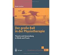 Der Große Ball In Der Physiotherapie