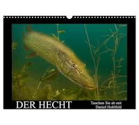Der Hecht - Tauchen Sie ab mit Daniel Hohlfeld (Wandkalender 2026 DIN A3 quer), CALVENDO Monatskalender: Tauchen Sie ab und erleben einen ganz besonderen Räuber.
