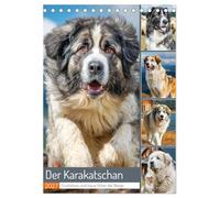 Der Karakatschan. Furchtlose und treue Hüter der Herden (Tischkalender 2027 DIN A5 hoch), CALVENDO Monatskalender: Stimmungsvolle Bilder zeigen die Kraft und Würde der bulgarischen Herdenschutzhunde