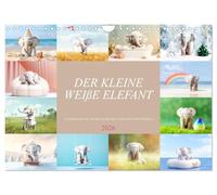 Der kleine weiße Elefant (Wandkalender 2026 DIN A4 quer), CALVENDO Monatskalender: Lassen Sie sich von dem kleinen weißen Elefanten Monat für Monat verzaubern