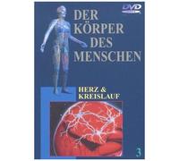 Der Körper Des Menschen 3 - Herz Und Kreislauf