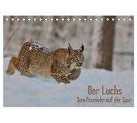 Der Luchs - Dem Pinselohr auf der Spur (Tischkalender 2026 DIN A5 quer), CALVENDO Monatskalender: Wundervolle und abwechslungsreiche Fotos des eurasischen Luchses, fotografiert von Stefan Rosengarten
