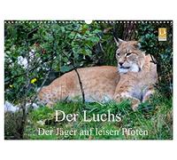 Der Luchs - Der Jäger auf leisen Pfoten (Wandkalender 2026 DIN A3 quer), CALVENDO Monatskalender: Die Katze mit den Pinselohren.