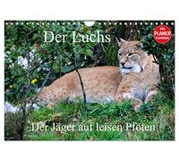 Der Luchs - Der Jäger auf leisen Pfoten (Wandkalender 2026 DIN A4 quer), CALVENDO Monatskalender: Die Katze mit den Pinselohren.