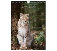 Der Luchs - Europas größte Samtpfote (Wandkalender 2026 DIN A4 hoch), CALVENDO Monatskalender: Fotografien vom eurasischen Luchs