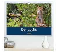 Der Luchs - Hochbeinig, Pinselohren, Backenbart (hochwertiger Premium Wandkalender 2026 DIN A2 quer), Kunstdruck in Hochglanz: Unsere größten und seltensten Katzen.