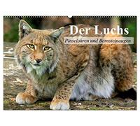 Der Luchs. Pinselohren und Bernsteinaugen (Wandkalender 2026 DIN A2 quer), CALVENDO Monatskalender: Europas größte und wunderschöne Raubkatze