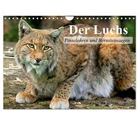 Der Luchs. Pinselohren und Bernsteinaugen (Wandkalender 2026 DIN A4 quer), CALVENDO Monatskalender: Europas größte und wunderschöne Raubkatze