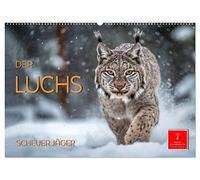 Der Luchs - scheuer Jäger (Wandkalender 2026 DIN A2 quer), CALVENDO Monatskalender: Der Luchs - das "Pinselohr" - die größte Katze Europas.