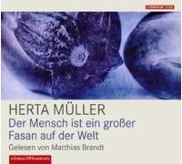 Der Mensch Ist Ein Großer Fasan Auf Der Welt