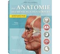 Der Menschliche Körper
