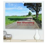 Der Olavsweg (hochwertiger Premium Wandkalender 2026 DIN A2 quer), Kunstdruck in Hochglanz: Zu Fuß auf dem Pilgerweg von Oslo nach Trondheim.