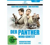 Der Panther Wird Gehetzt