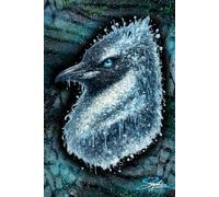 Der Pinguin: Taschenbuch