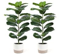 Der Rose Lot de 2 figuiers artificiels de 76,2 cm, plantes réalistes de taille moyenne pour intérieur et extérieur, pour appartement, maison, salon, bureau