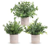Der Rose Lot de 3 Mini Fausse Plante Artificielle en Pot d'Eucalyptus en Plastique pour la Maison, le Bureau, la Ferme, la Décoration de Chambre