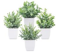 Der Rose Lot de 4 Petites Plantes artificielles en Pot pour Salle de Bain, Ferme, Cuisine