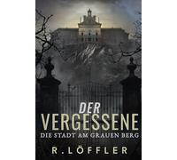 Der Vergessene: Die Stadt am grauen Berg