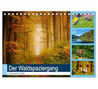 Der Waldspaziergang (Tischkalender 2026 DIN A5 quer), CALVENDO Monatskalender: Der herrliche deutsche Wald ist immer einen Besuch wert.