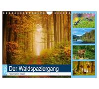 Der Waldspaziergang (Wandkalender 2026 DIN A4 quer), CALVENDO Monatskalender: Der herrliche deutsche Wald ist immer einen Besuch wert.