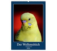 Der Wellensittich - mein bester Freund (Wandkalender 2026 DIN A2 hoch), CALVENDO Monatskalender: Der neue Wellensittichkalender! Ein Statement für jeden Welli-Freund. Repräsentativ und aussagekräftig.