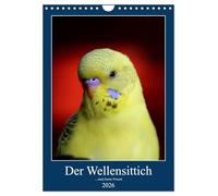 Der Wellensittich - mein bester Freund (Wandkalender 2026 DIN A4 hoch), CALVENDO Monatskalender: Der neue Wellensittichkalender! Ein Statement für jeden Welli-Freund. Repräsentativ und aussagekräftig.