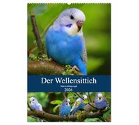 Der Wellensittich - Mein Lieblingsvogel (Wandkalender 2026 DIN A2 hoch), CALVENDO Monatskalender: Der neue Wellensittichkalender - vom kleinen ... Repräsentativ und aussagekräftig!