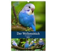 Der Wellensittich - Mein Lieblingsvogel (Wandkalender 2026 DIN A3 hoch), CALVENDO Monatskalender: Der neue Wellensittichkalender - vom kleinen ... Repräsentativ und aussagekräftig!
