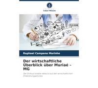 Der wirtschaftliche Überblick über Muriaé - MG: Der Einfluss lokaler Akteure auf den wirtschaftlichen Entwicklungsprozess